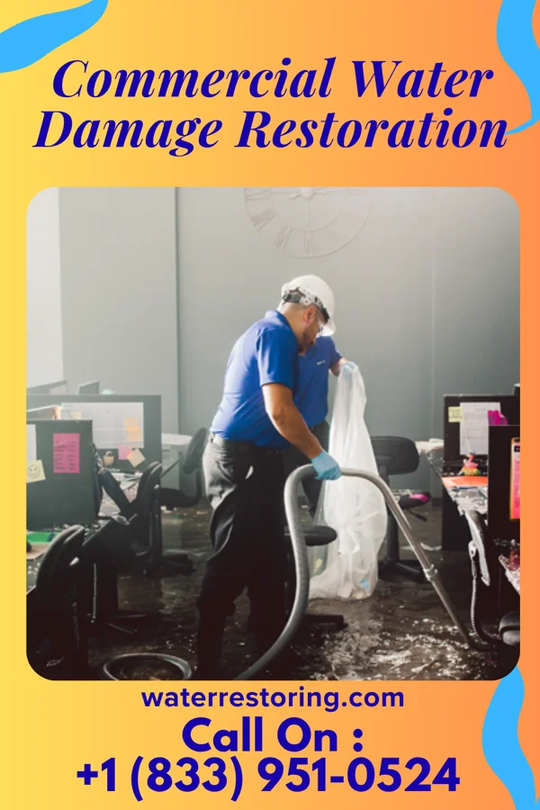 Commercial Water Damage Restoration in Secretary, MD