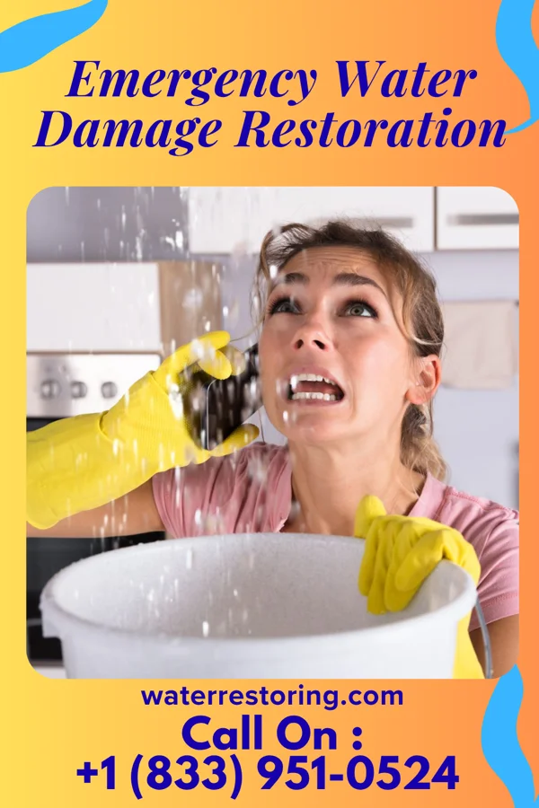 Emergency Water Damage Restoration in Secretary, MD