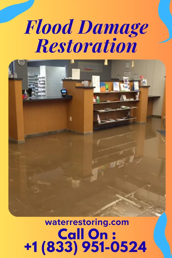 Flood Damage Restoration in Secretary, MD