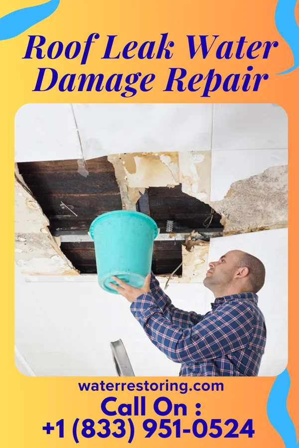 Roof Leak Water Damage Repair in Secretary, MD
