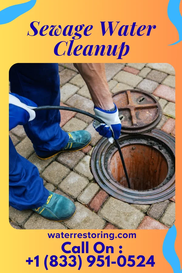 Sewage Water Cleanup in Secretary, MD