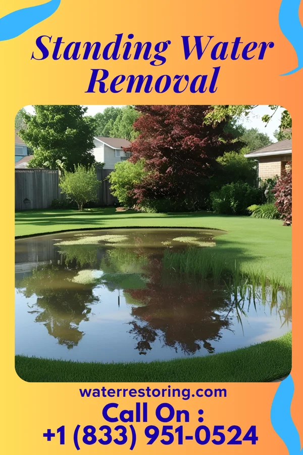 Standing Water Removal in Secretary, MD